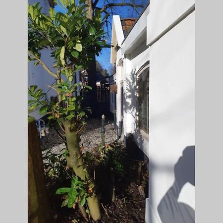 Oranjerie, 7 Km Onder Groningen Paterswolde Exterior foto