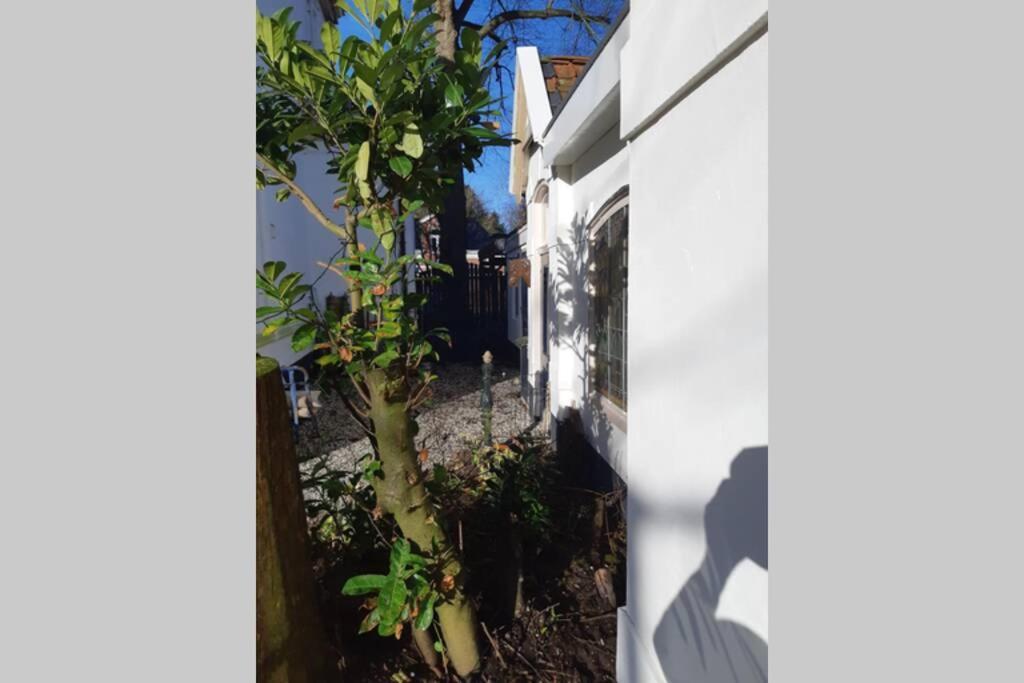 Oranjerie, 7 Km Onder Groningen Paterswolde Exterior foto