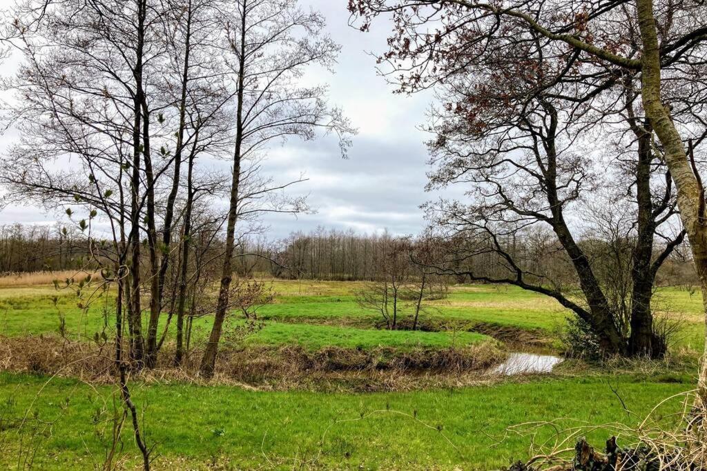 Oranjerie, 7 Km Onder Groningen Paterswolde Exterior foto